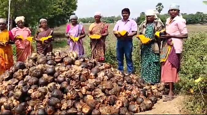 கடம்பா குளம் மறுகால் ஓடை கரையோரங்களில் ஒரு லட்சம் பனை மர விதை நடும் பணியில் !