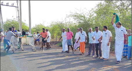 கோவில்பட்டி அருகே கோவில்  திருவிழாவினை முன்னிட்டு நடைபெற்ற மாபெரும் மாட்டு வண்டி எல்கை பந்தயம்